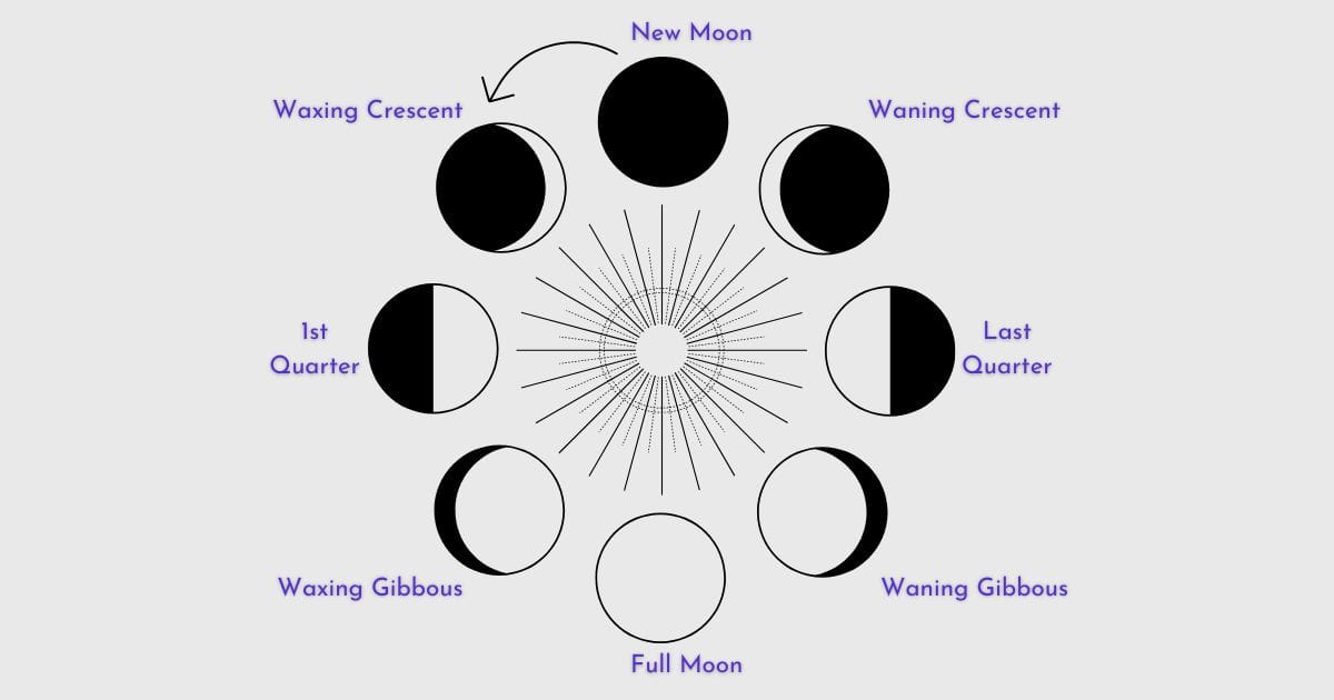 Ultimate Guide to Moon Phases Manifestation For A Magical Life - Quest ...